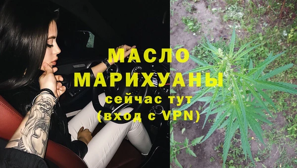 амф Ельня