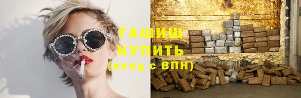 амф Ельня