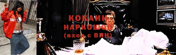 амф Ельня