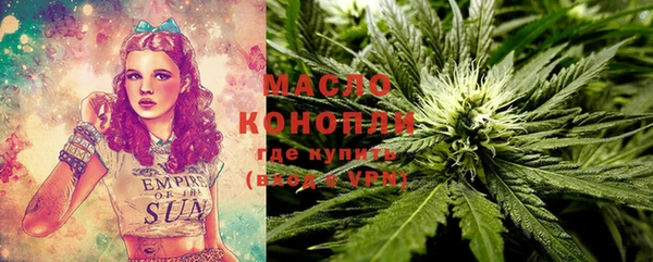 амф Ельня