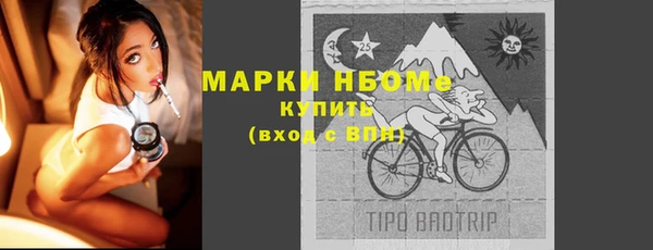 амф Ельня