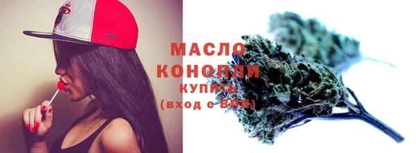 амф Ельня