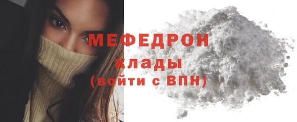амф Ельня