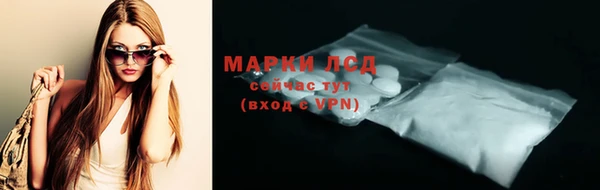 молекула духа Елизово
