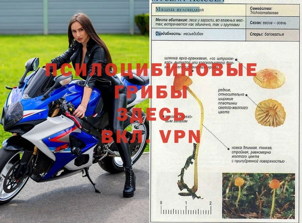 герыч Елабуга
