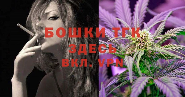молекула духа Заводоуковск