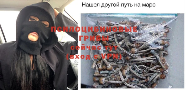 амф Ельня
