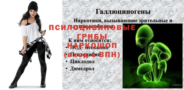 амф Ельня