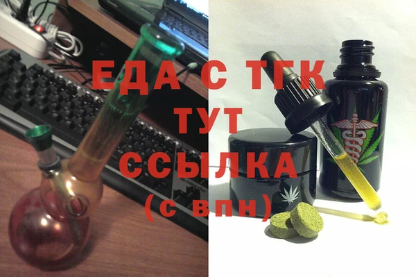 амф Ельня