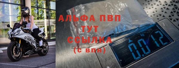 амф Ельня