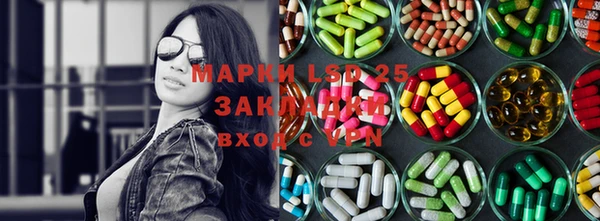 амф Ельня