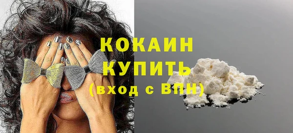 амф Ельня