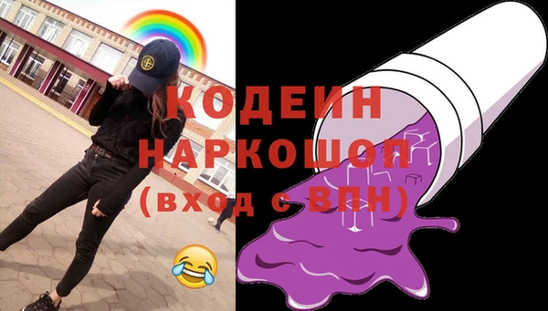 амф Ельня