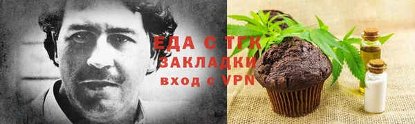 амф Ельня