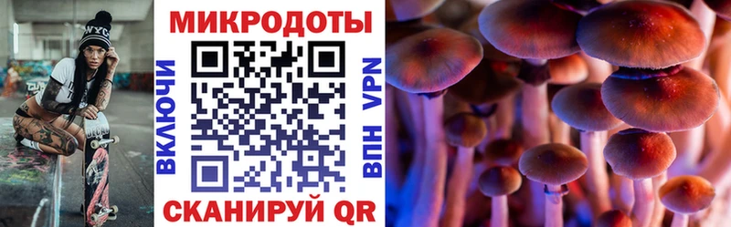 Псилоцибиновые грибы мухоморы  Купить где  Бабаево 